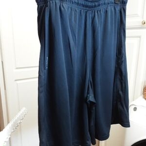 Champion Powertrain Men's Navy Blue Shorts